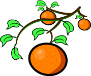 orange tree