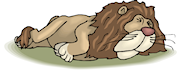 sleeping lion