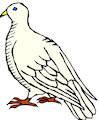 dove