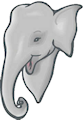 elephant