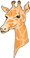 giraff