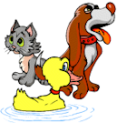 dog cat duck