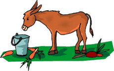 El burro de un ni&ntilde;o peque&ntilde;o